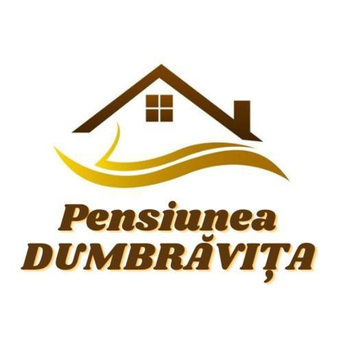 Pensiunea Dumbravita Dumbrava  Exterior photo